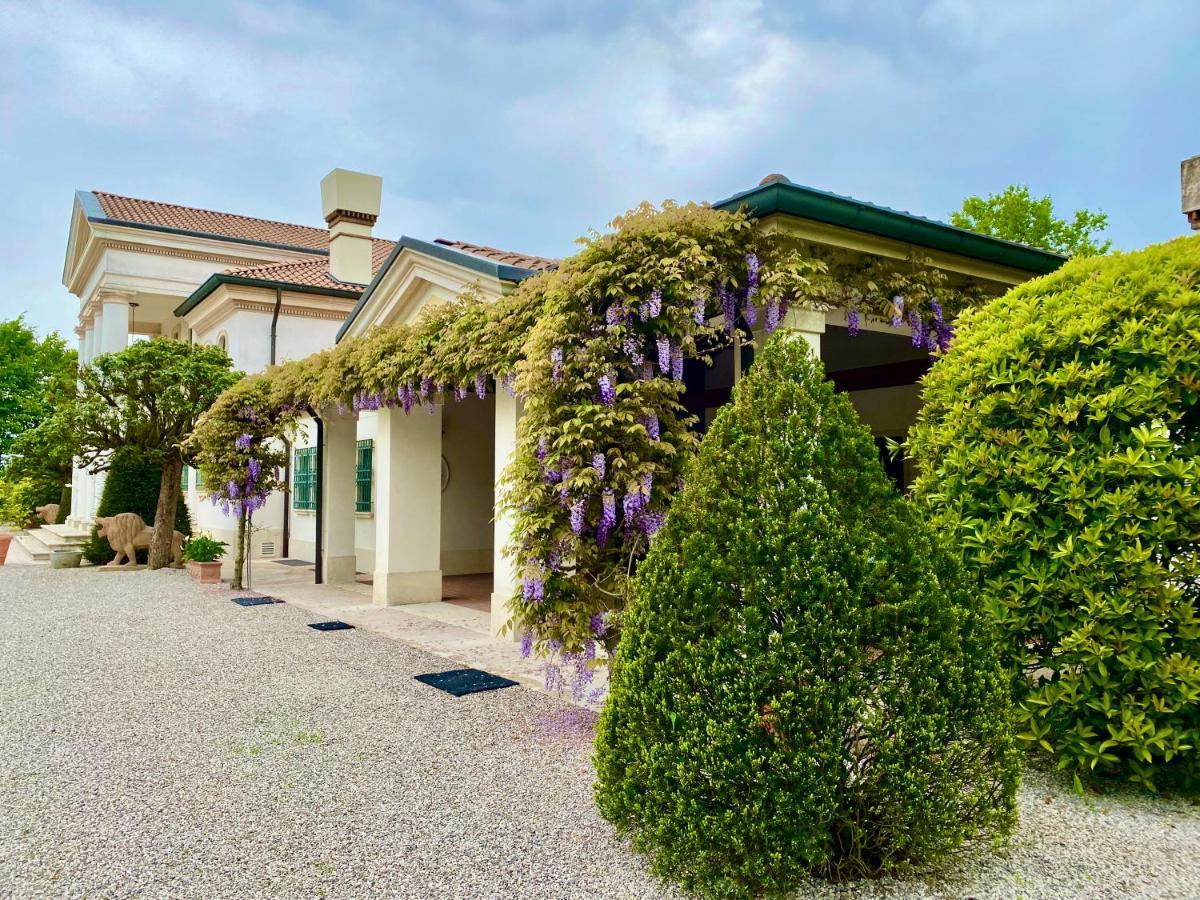 Villa Gerla, Un Angolo Di Paradiso Vicino Padova E Venezia Eksteriør billede